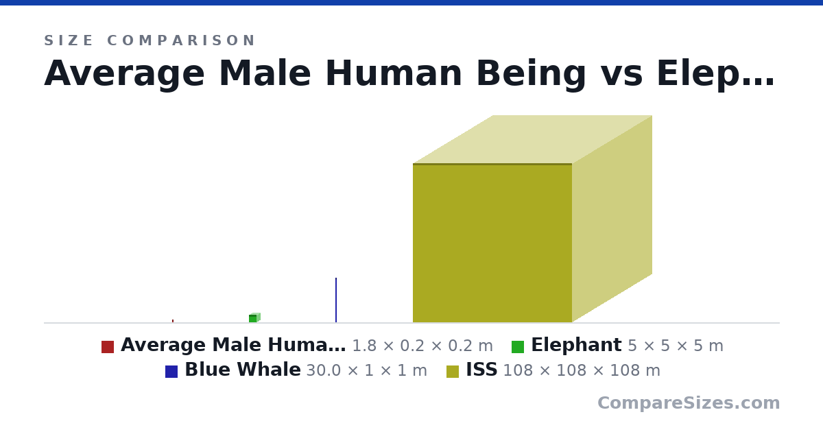 Size comparison of Average Male Human Being (1.8 × 0.2 × 0.2 m), Elephant (5 × 5 × 5 m), Blue Whale (30.0 × 1 × 1 m) and ISS (108 × 108 × 108 m), drawn to scale
