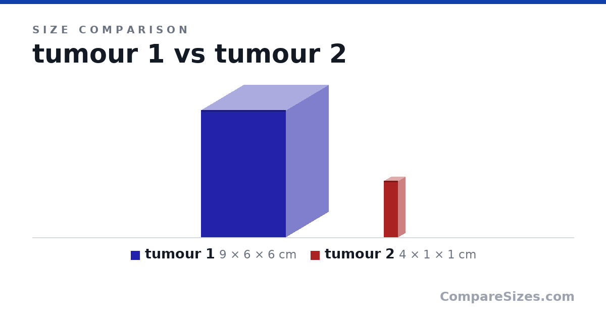 Size comparison of tumour 1 (9 × 6 × 6 cm) and tumour 2 (4 × 1 × 1 cm), drawn to scale