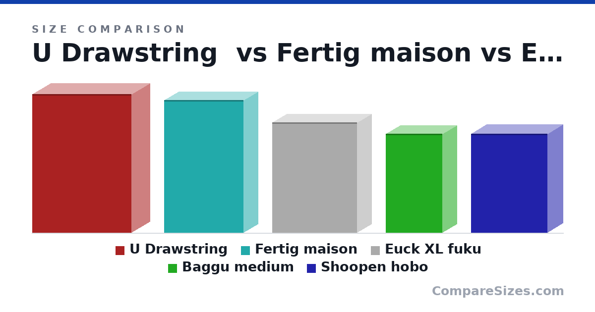 Size comparison of U Drawstring (49.0 × 13.0 × 35.0 cm), Fertig maison (47.0 × 10.0 × 28.0 cm), Euck XL fuku (39.0 × 10.0 × 30.0 cm), Baggu medium (35.0 × 10.0 × 20.0 cm) and Shoopen hobo (35.0 × 11.0 × 27.0 cm), drawn to scale