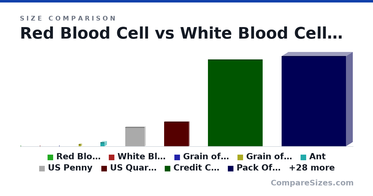 Size comparison of Red Blood Cell (0 × 0 × 0 m), White Blood Cell (0 × 0 × 0 m), Grain of salt/sand (500 × 500 × 500 um), Grain of Rice (2 × 2 × 2 mm), Ant (0 × 0 × 0 m), US Penny (19.1 × 1.75 × 19.1 mm), and 31 more, drawn to scale