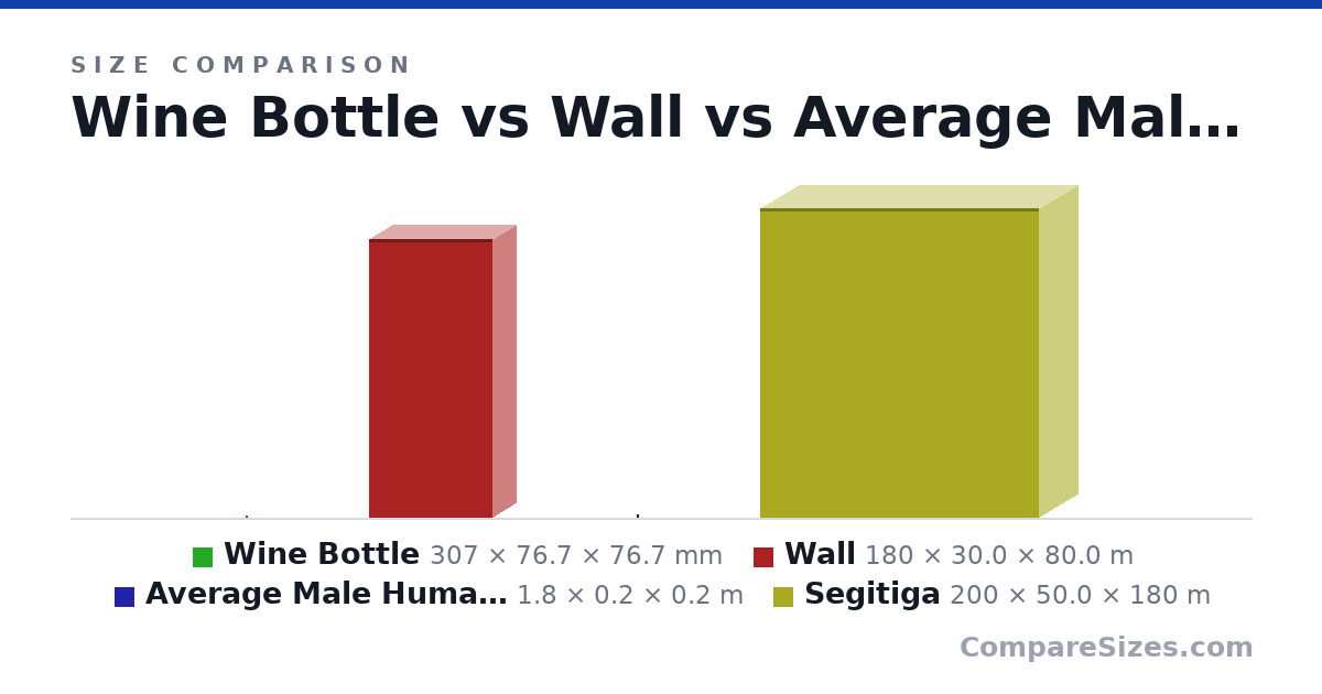 Size comparison of Wine Bottle (307 × 76.7 × 76.7 mm), Wall (180 × 30.0 × 80.0 m), Average Male Human Being (1.8 × 0.2 × 0.2 m) and Segitiga (200 × 50.0 × 180 m), drawn to scale