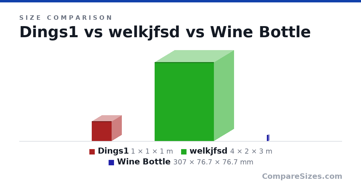 Size comparison of Dings1 (1 × 1 × 1 m), welkjfsd (4 × 2 × 3 m) and Wine Bottle (307 × 76.7 × 76.7 mm), drawn to scale