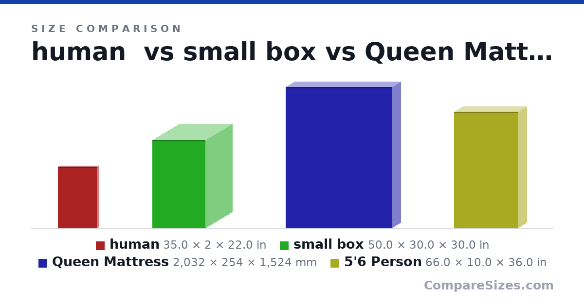 Size comparison of human (35.0 × 2 × 22.0 in), small box (50.0 × 30.0 × 30.0 in), Queen Mattress (2,032 × 254 × 1,524 mm) and 5'6 Person (66.0 × 10.0 × 36.0 in), drawn to scale