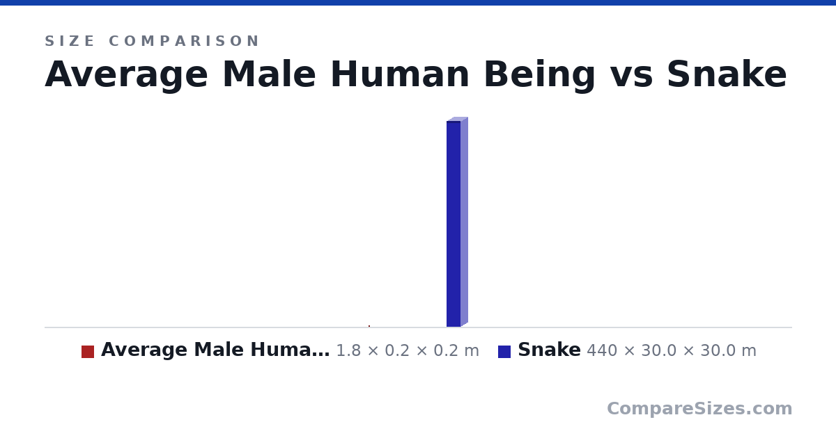 Size comparison of Average Male Human Being (1.8 × 0.2 × 0.2 m) and Snake (440 × 30.0 × 30.0 m), drawn to scale