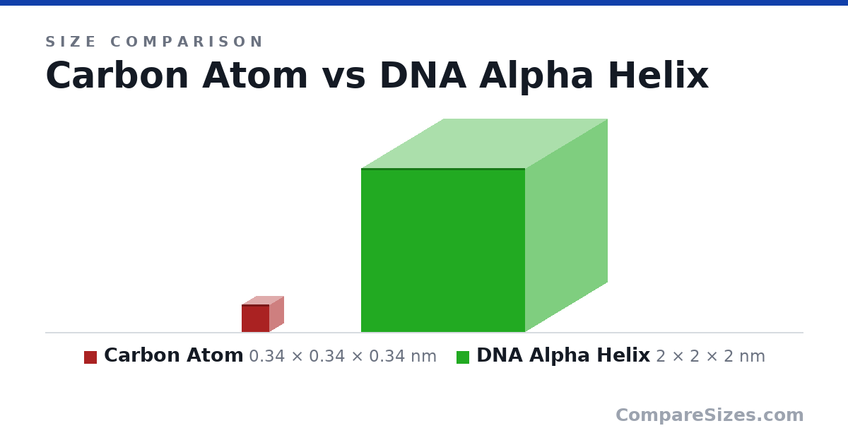 Size comparison of Carbon Atom (0.34 × 0.34 × 0.34 nm) and DNA Alpha Helix (2 × 2 × 2 nm), drawn to scale
