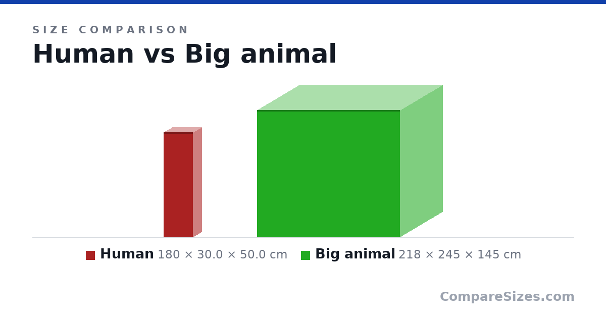 Size comparison of Human (180 × 30.0 × 50.0 cm) and Big animal (218 × 245 × 145 cm), drawn to scale