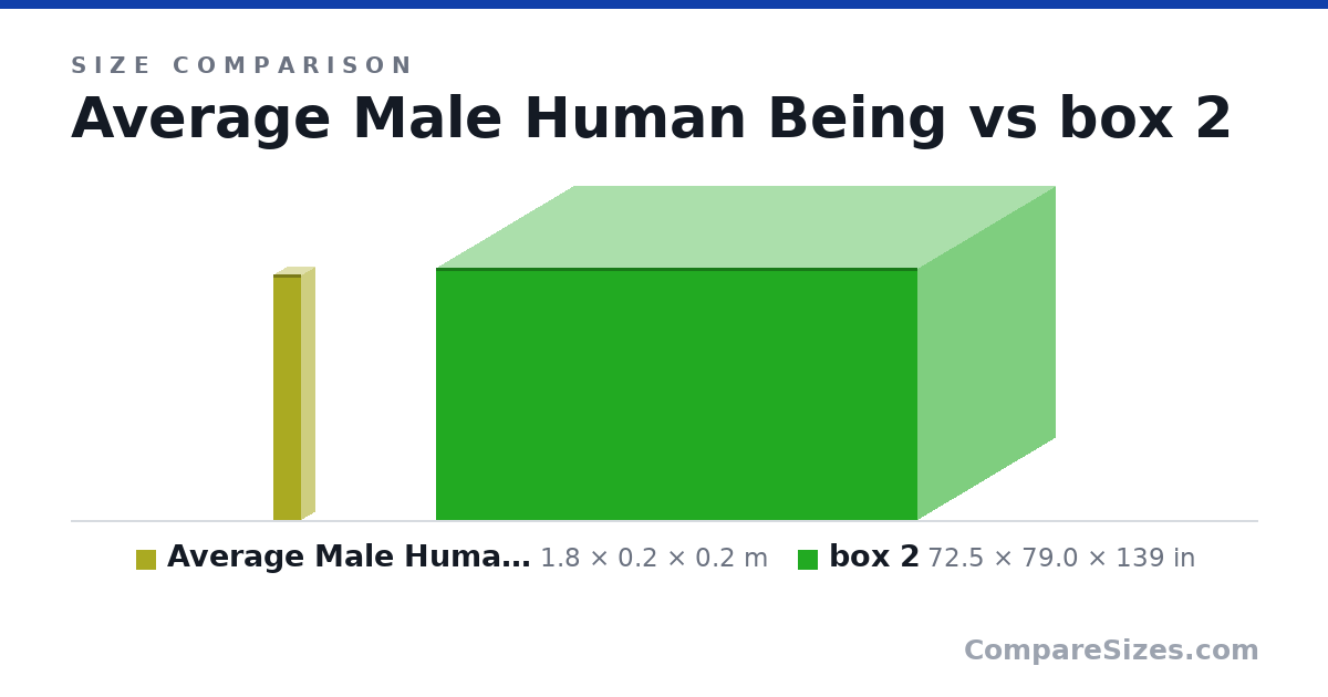 Size comparison of Average Male Human Being (1.8 × 0.2 × 0.2 m) and box 2 (72.5 × 79.0 × 139 in), drawn to scale