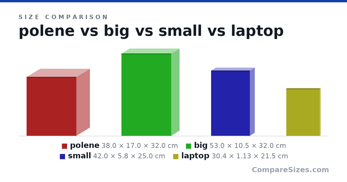 Size comparison of polene (38.0 × 17.0 × 32.0 cm), big (53.0 × 10.5 × 32.0 cm), small (42.0 × 5.8 × 25.0 cm) and laptop (30.4 × 1.13 × 21.5 cm), drawn to scale