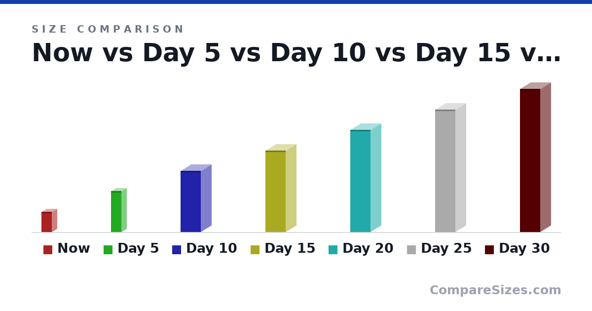 Size comparison of Now (2 × 1 × 1 in), Day 5 (4 × 1 × 1 in), Day 10 (6 × 2 × 2 in), Day 15 (8 × 2 × 2 in), Day 20 (10.0 × 2 × 2 in), Day 25 (12.0 × 2 × 2 in), and 1 more, drawn to scale