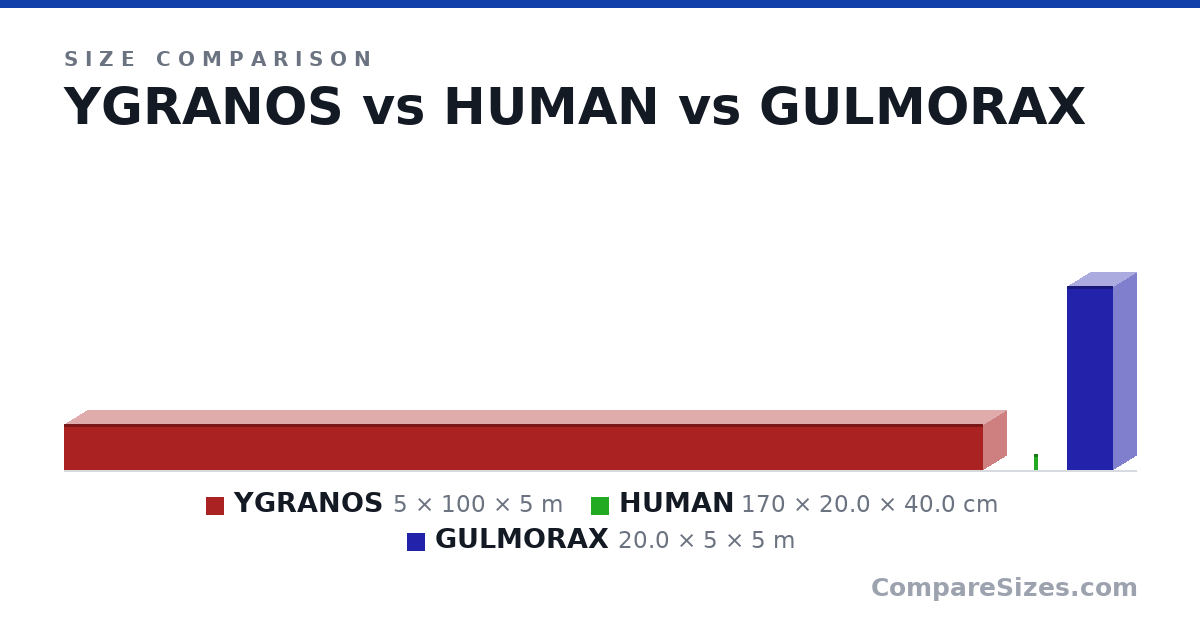 Size comparison of YGRANOS (5 × 100 × 5 m), HUMAN (170 × 20.0 × 40.0 cm) and GULMORAX (20.0 × 5 × 5 m), drawn to scale