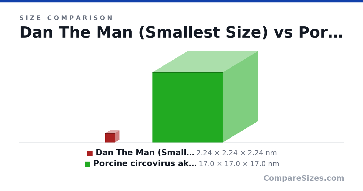 Size comparison of Dan The Man (Smallest Size) (2.24 × 2.24 × 2.24 nm) and Porcine circovirus aka smallest virus (17.0 × 17.0 × 17.0 nm), drawn to scale