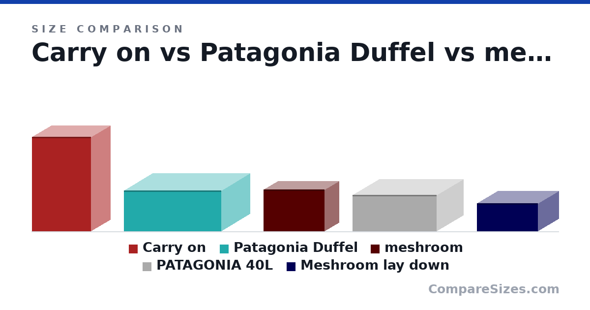 Size comparison of Carry on (56.0 × 23.0 × 35.0 cm), Patagonia Duffel (24.1 × 33.8 × 57.9 cm), meshroom (247 × 167 × 363 mm), PATAGONIA 40L (8.5 × 12.5 × 19.7 in) and Meshroom lay down (167 × 247 × 363 mm), drawn to scale