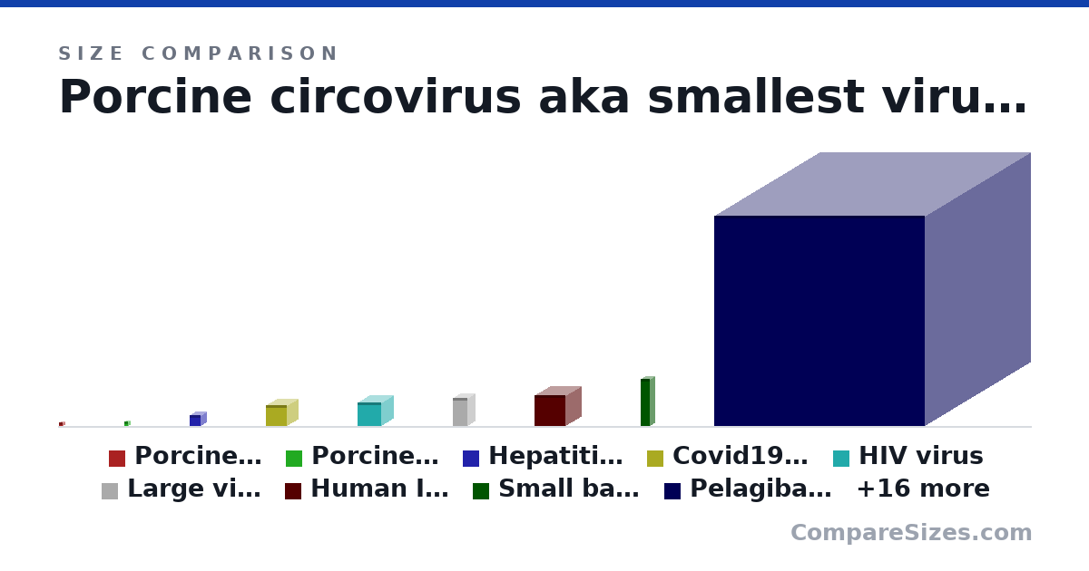 Size comparison of Porcine circovirus aka smallest virus (17.0 × 17.0 × 17.0 nm), Porcine circovirus (19.0 × 15.0 × 17.0 nm), Hepatitis Virus (45.0 × 45.0 × 45.0 nm), Covid19 virus (90.0 × 90.0 × 90.0 nm), HIV virus (100 × 100 × 100 nm), Large virus (Orthomyxoviruses) (120 × 60.0 × 60.0 nm), and 19 more, drawn to scale