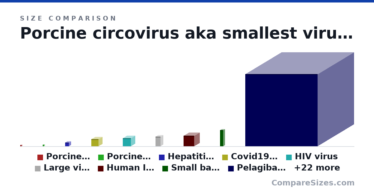 Size comparison of Porcine circovirus aka smallest virus (17.0 × 17.0 × 17.0 nm), Porcine circovirus (19.0 × 15.0 × 17.0 nm), Hepatitis Virus (45.0 × 45.0 × 45.0 nm), Covid19 virus (90.0 × 90.0 × 90.0 nm), HIV virus (100 × 100 × 100 nm), Large virus (Orthomyxoviruses) (120 × 60.0 × 60.0 nm), and 25 more, drawn to scale