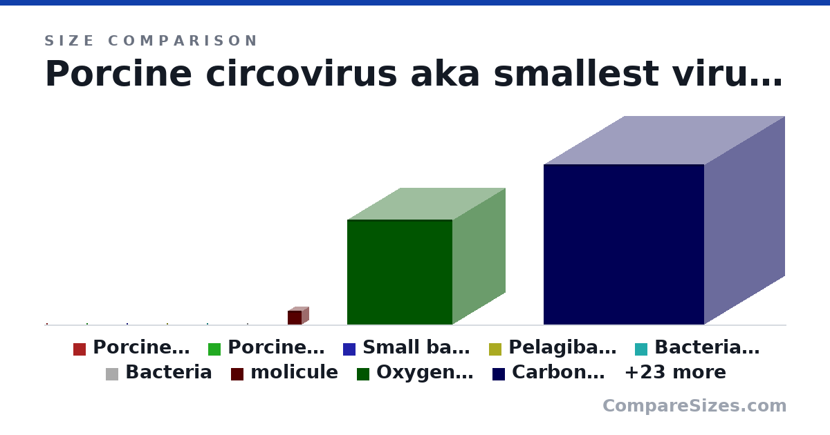 Size comparison of Porcine circovirus aka smallest virus (17.0 × 17.0 × 17.0 nm), Porcine circovirus (19.0 × 15.0 × 17.0 nm), Small bacteria (Mycoplasma) (40.0 × 40.0 × 200 nm), Pelagibacter ubique (890 × 890 × 890 nm), Bacteria (E.Coli) (500 × 500 × 2,000 nm), Bacteria (1 × 1 × 1 um), and 26 more, drawn to scale