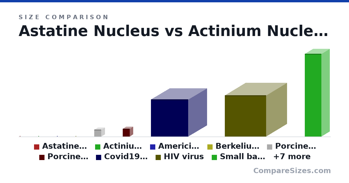 Size comparison of Astatine Nucleus (0 × 0 × 0 nm), Actinium Nucleus (0 × 0 × 0 nm), Americium Nucleus (0 × 0 × 0 nm), Berkelium Nucleus (0 × 0 × 0 nm), Atom, Porcine circovirus aka smallest virus (17.0 × 17.0 × 17.0 nm), and 11 more, drawn to scale