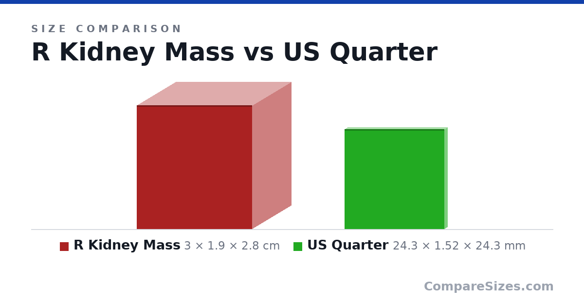Size comparison of R Kidney Mass (3 × 1.9 × 2.8 cm) and US Quarter (24.3 × 1.52 × 24.3 mm), drawn to scale