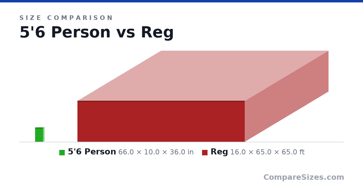 Size comparison of 5'6 Person (66.0 × 10.0 × 36.0 in) and Reg (16.0 × 65.0 × 65.0 ft), drawn to scale