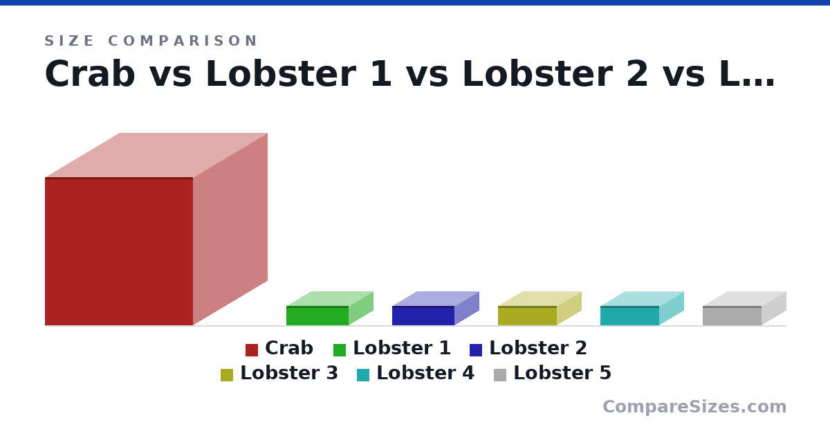 Size comparison of Crab (152 × 152 × 152 cm), Lobster 1 (20.0 × 64.0 × 50.0 cm), Lobster 2 (20.0 × 64.0 × 50.0 cm), Lobster 3 (20.0 × 60.0 × 50.0 cm), Lobster 4 (20.0 × 60.0 × 50.0 cm) and Lobster 5 (20.0 × 60.0 × 50.0 cm), drawn to scale
