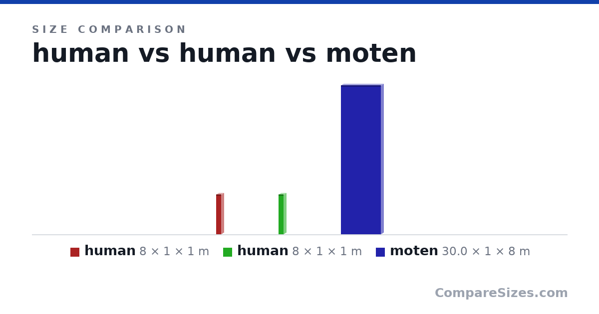 Size comparison of human (8 × 1 × 1 m), human (8 × 1 × 1 m) and moten (30.0 × 1 × 8 m), drawn to scale