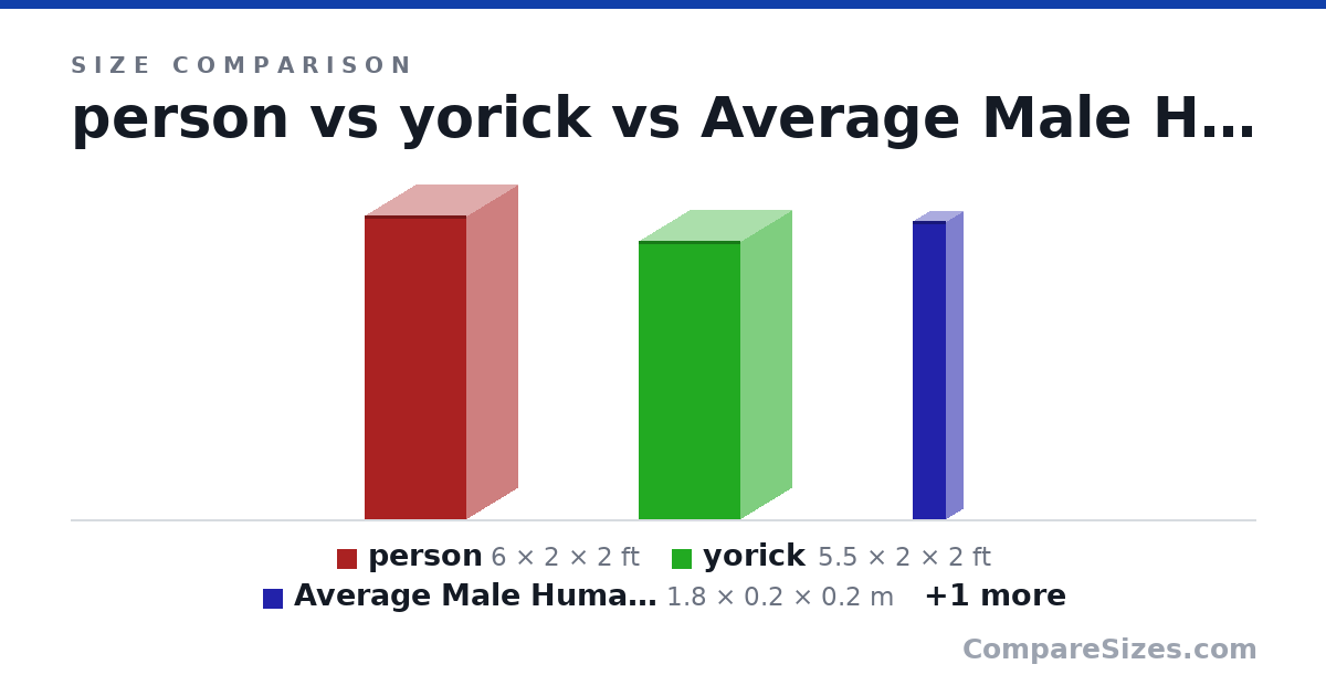 Size comparison of person (6 × 2 × 2 ft), yorick (5.5 × 2 × 2 ft), Average Male Human Being (1.8 × 0.2 × 0.2 m) and Covid19 virus (90.0 × 90.0 × 90.0 nm), drawn to scale