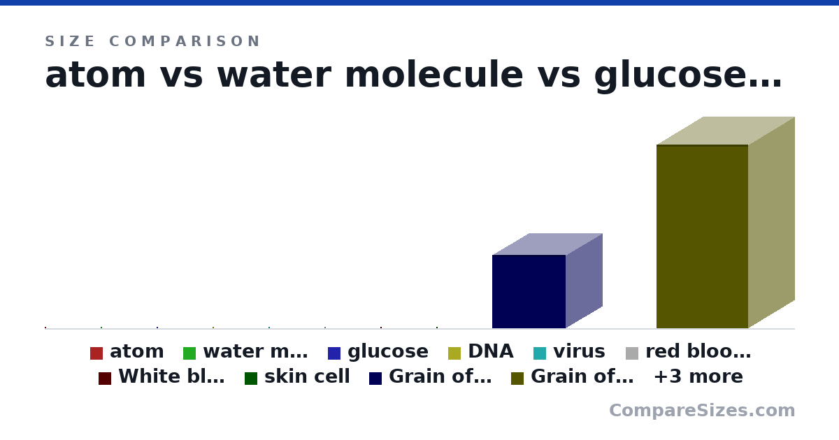 Size comparison of atom (0.4 × 0.4 × 0.4 nm), water molecule (0.7 × 0.6 × 0.6 nm), glucose (1.3 × 1 × 1.3 nm), DNA (160 × 4 × 4 nm), virus (830 × 800 × 830 nm), red blood cell (4 × 3 × 3 um), and 7 more, drawn to scale