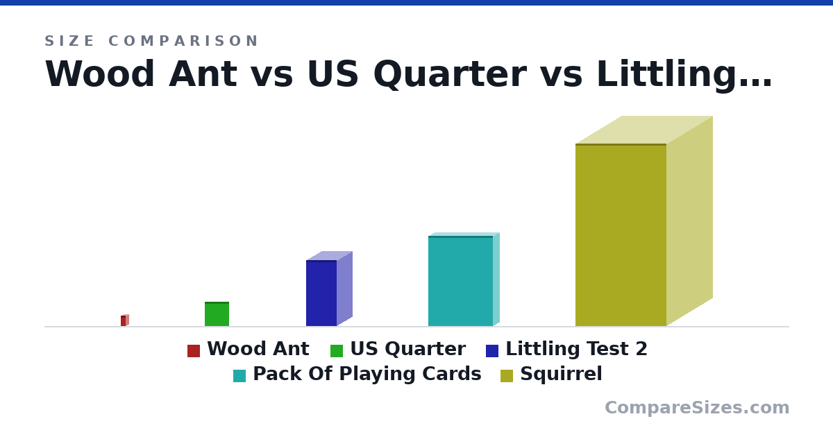 Size comparison of Wood Ant (10.0 × 5 × 5 mm), US Quarter (24.3 × 1.52 × 24.3 mm), Littling Test 2 (6.5 × 3 × 3 cm), Pack Of Playing Cards (88.9 × 12.7 × 63.5 mm) and Squirrel (18.0 × 9 × 9 cm), drawn to scale