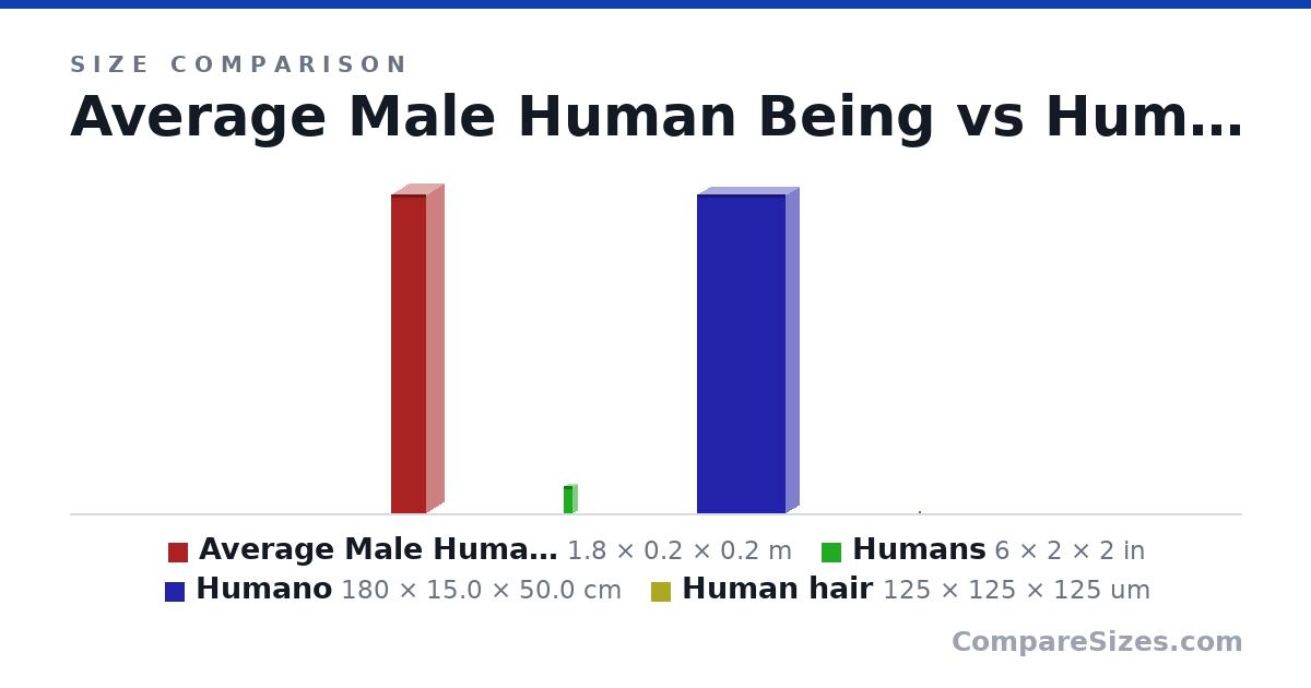 Size comparison of Average Male Human Being (1.8 × 0.2 × 0.2 m), Humans (6 × 2 × 2 in), Humano (180 × 15.0 × 50.0 cm) and Human hair (125 × 125 × 125 um), drawn to scale