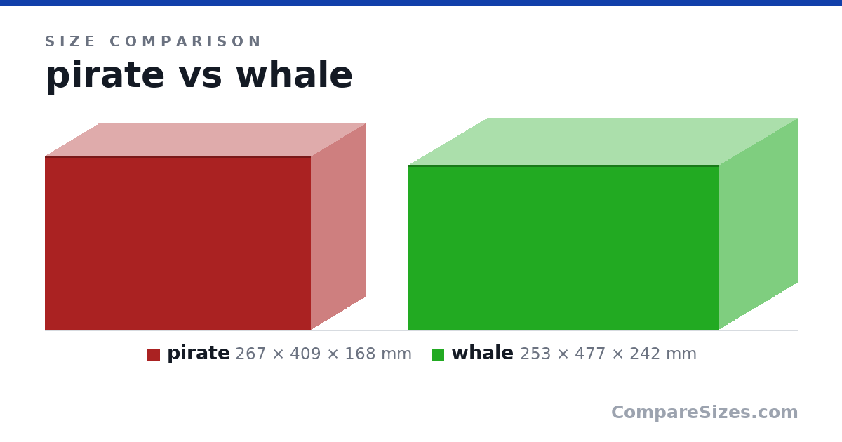 Size comparison of pirate (267 × 409 × 168 mm) and whale (253 × 477 × 242 mm), drawn to scale