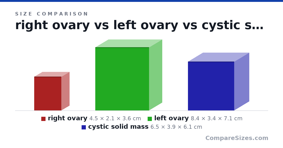 Size comparison of right ovary (4.5 × 2.1 × 3.6 cm), left ovary (8.4 × 3.4 × 7.1 cm) and cystic solid mass (6.5 × 3.9 × 6.1 cm), drawn to scale