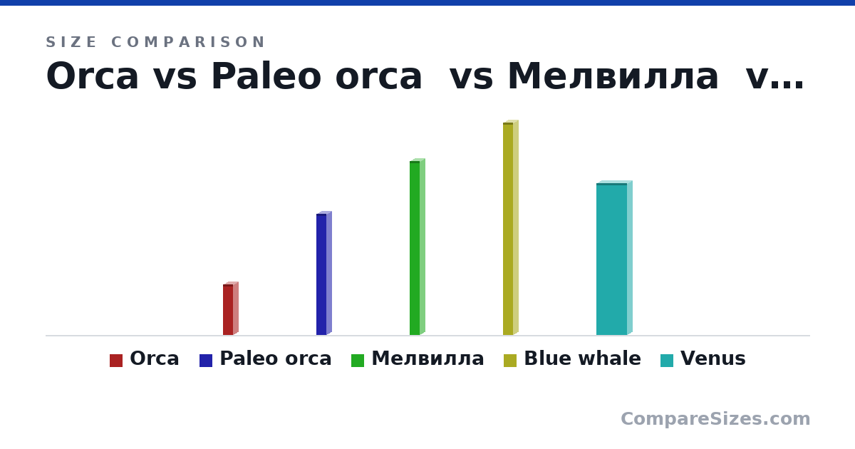 Size comparison of Orca (5 × 1 × 1 m), Paleo orca (12.0 × 1 × 1 m), Мелвилла (17.2 × 1 × 1 m), Blue whale (21.0 × 1 × 1 m) and Venus (15.0 × 1 × 3 m), drawn to scale