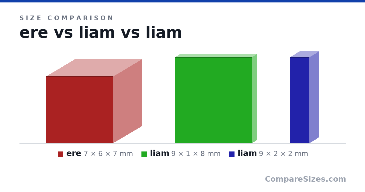 Size comparison of ere (7 × 6 × 7 mm), liam (9 × 1 × 8 mm) and liam (9 × 2 × 2 mm), drawn to scale