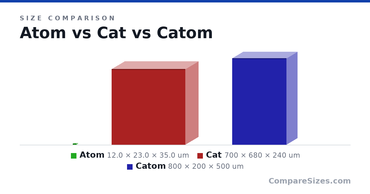 Size comparison of Atom (12.0 × 23.0 × 35.0 um), Cat (700 × 680 × 240 um) and Catom (800 × 200 × 500 um), drawn to scale