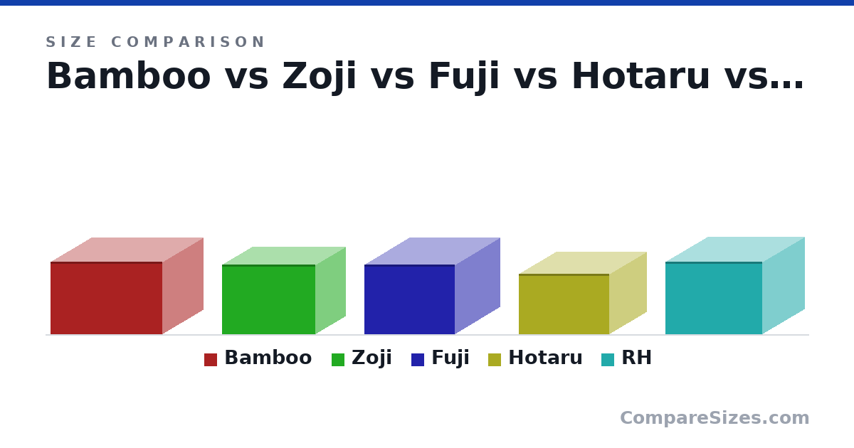Size comparison of Bamboo (24.0 × 27.0 × 37.0 cm), Zoji (23.0 × 20.0 × 31.0 cm), Fuji (23.0 × 30.0 × 30.0 cm), Hotaru (20.0 × 25.0 × 30.0 cm) and RH (24.0 × 32.0 × 28.0 cm), drawn to scale