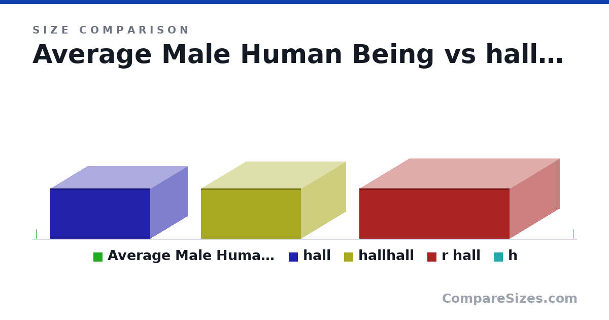 Size comparison of Average Male Human Being (1.8 × 0.2 × 0.2 m), hall (10.0 × 15.0 × 20.0 m), hallhall (10.0 × 18.0 × 20.0 m), r hall (10.0 × 30.0 × 20.0 m) and h (1.8 × 0.2 × 0.2 m), drawn to scale