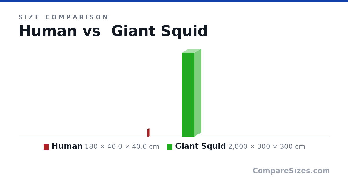 Size comparison of Human (180 × 40.0 × 40.0 cm) and Giant Squid (2,000 × 300 × 300 cm), drawn to scale