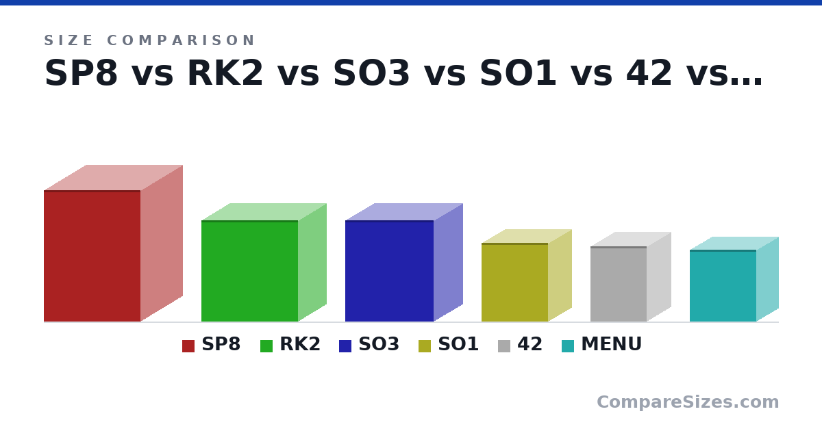Size comparison of SP8 (456 × 290 × 335 mm), RK2 (350 × 195 × 335 mm), SO3 (350 × 200 × 306 mm), SO1 (274 × 162 × 231 mm), 42 (260 × 164 × 194 mm) and MENU (250 × 150 × 230 mm), drawn to scale