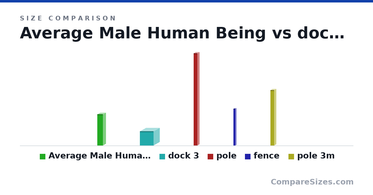 Size comparison of Average Male Human Being (1.7 × 0.3 × 0.3 m), dock 3 (770 × 640 × 745 mm), pole (5 × 0.2 × 0.2 m), fence (2 × 0.1 × 0.1 m) and pole 3m (3 × 0.2 × 0.2 m), drawn to scale