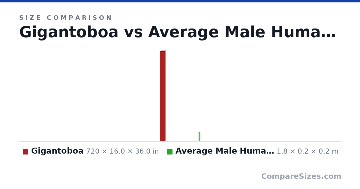 Size comparison of Gigantoboa (720 × 16.0 × 36.0 in) and Average Male Human Being (1.8 × 0.2 × 0.2 m), drawn to scale