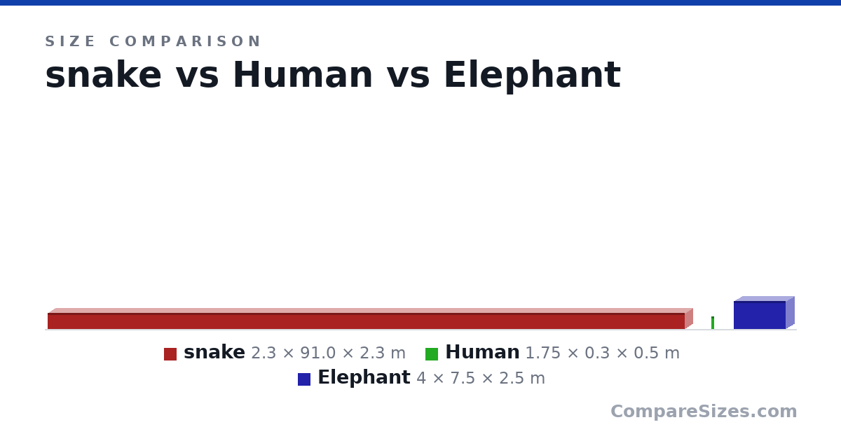 Size comparison of snake (2.3 × 91.0 × 2.3 m), Human (1.75 × 0.3 × 0.5 m) and Elephant (4 × 7.5 × 2.5 m), drawn to scale