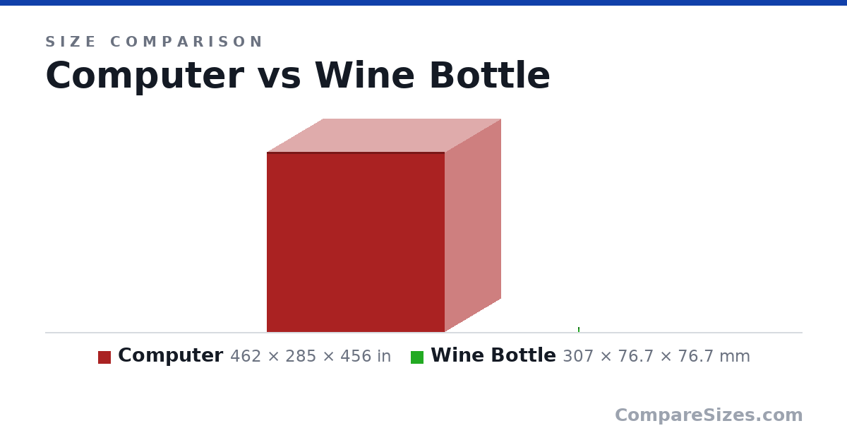 Size comparison of Computer (462 × 285 × 456 in) and Wine Bottle (307 × 76.7 × 76.7 mm), drawn to scale