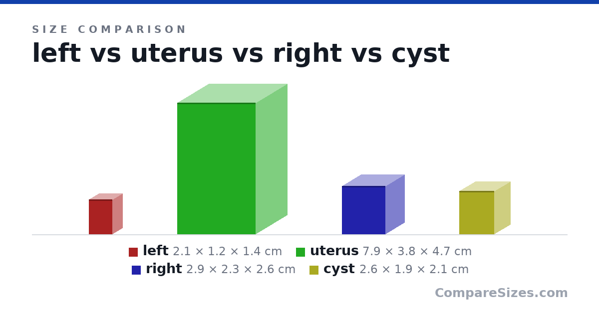 Size comparison of left (2.1 × 1.2 × 1.4 cm), uterus (7.9 × 3.8 × 4.7 cm), right (2.9 × 2.3 × 2.6 cm) and cyst (2.6 × 1.9 × 2.1 cm), drawn to scale