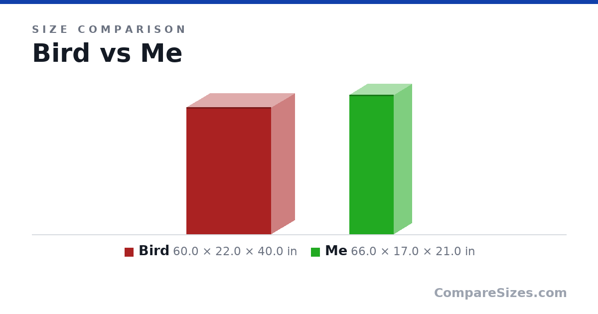 Size comparison of Bird (60.0 × 22.0 × 40.0 in) and Me (66.0 × 17.0 × 21.0 in), drawn to scale
