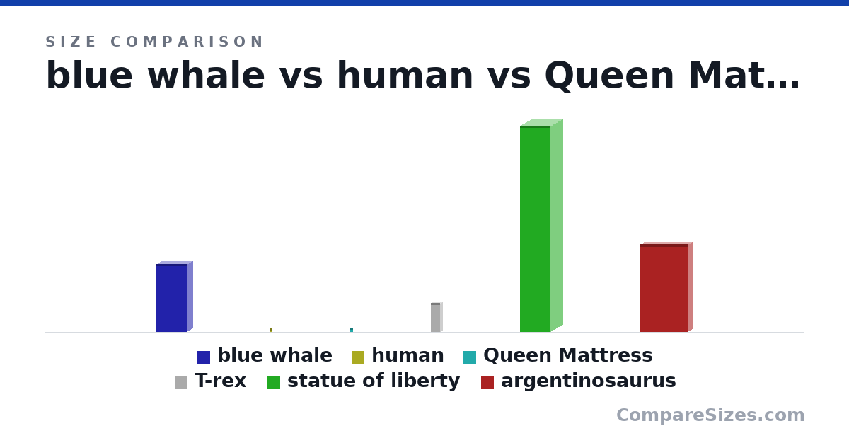 Size comparison of blue whale (100 × 16.0 × 45.0 ft), human (171 × 30.0 × 46.0 cm), Queen Mattress (2,032 × 254 × 1,524 mm), T-rex (13.2 × 1.9 × 4 m), statue of liberty (305 × 35.0 × 44.5 ft) and argentinosaurus (130 × 14.8 × 70.0 ft), drawn to scale