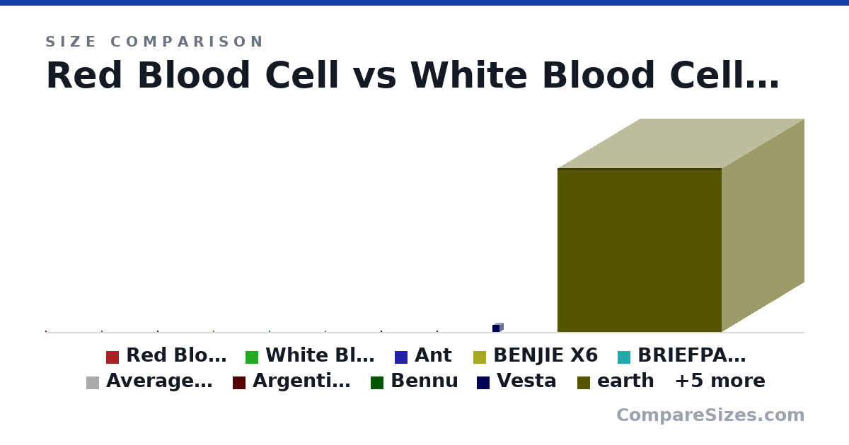 Size comparison of Red Blood Cell (0 × 0 × 0 m), White Blood Cell (0 × 0 × 0 m), Ant (0 × 0 × 0 m), BENJIE X6 (85.0 × 11.0 × 55.0 mm), BRIEFPACK No. 1 Fjallraven (44.0 × 15.0 × 31.0 cm), Average Male Human Being (1.8 × 0.2 × 0.2 m), and 9 more, drawn to scale