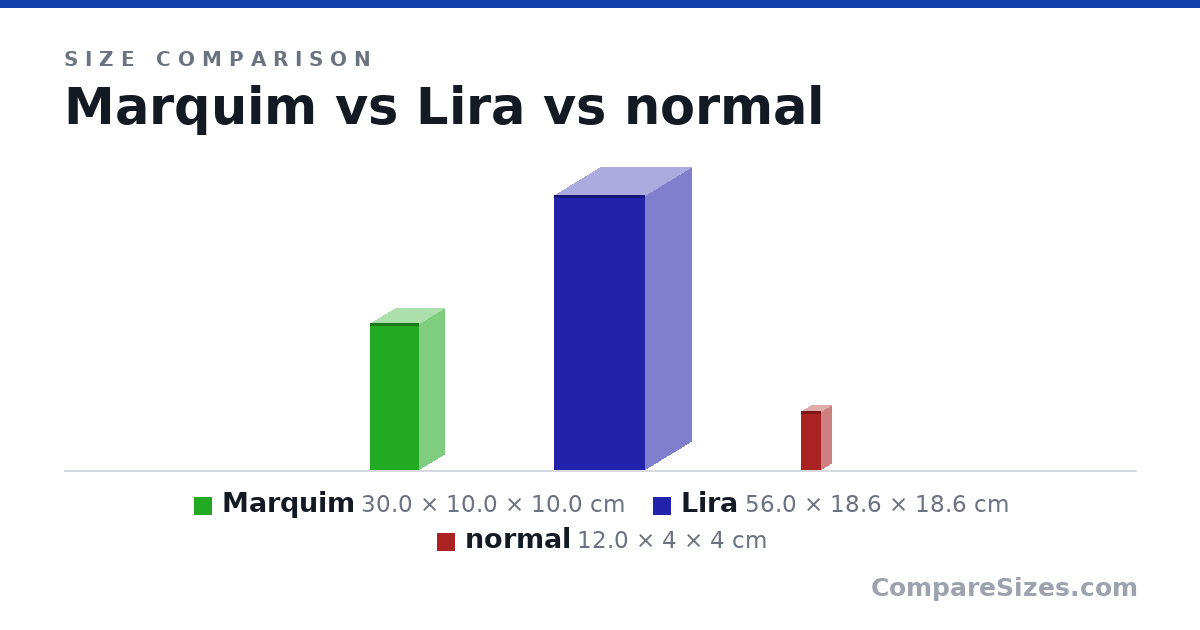 Size comparison of Marquim (30.0 × 10.0 × 10.0 cm), Lira (56.0 × 18.6 × 18.6 cm) and normal (12.0 × 4 × 4 cm), drawn to scale