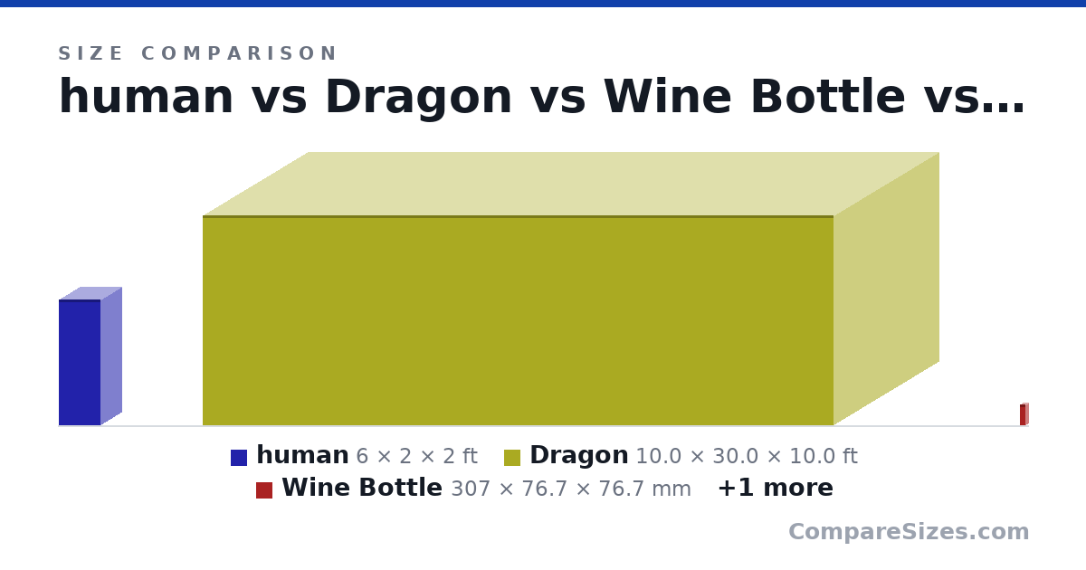 Size comparison of human (6 × 2 × 2 ft), Dragon (10.0 × 30.0 × 10.0 ft), Wine Bottle (307 × 76.7 × 76.7 mm) and Queen Mattress (2,032 × 254 × 1,524 mm), drawn to scale