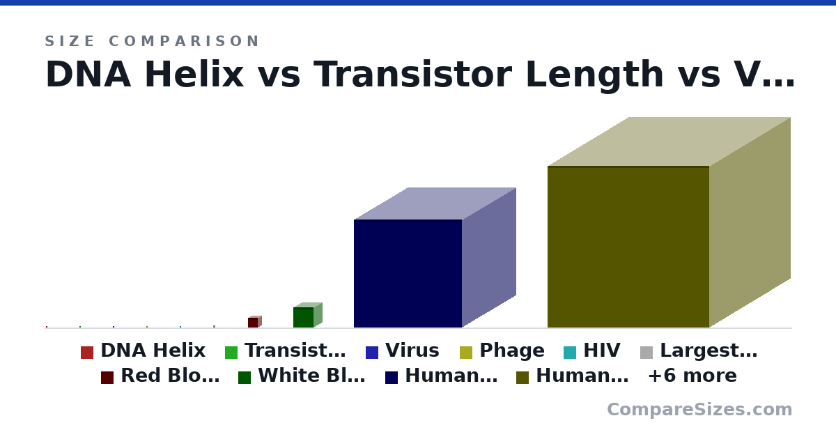 Size comparison of DNA Helix (2 × 1 × 1 nm), Transistor Length (4 × 2 × 3 nm), Virus (120 × 120 × 120 nm), Phage (200 × 125 × 150 nm), HIV (210 × 200 × 210 nm), Largest Virus (1.5 × 1.5 × 1.5 um), and 10 more, drawn to scale