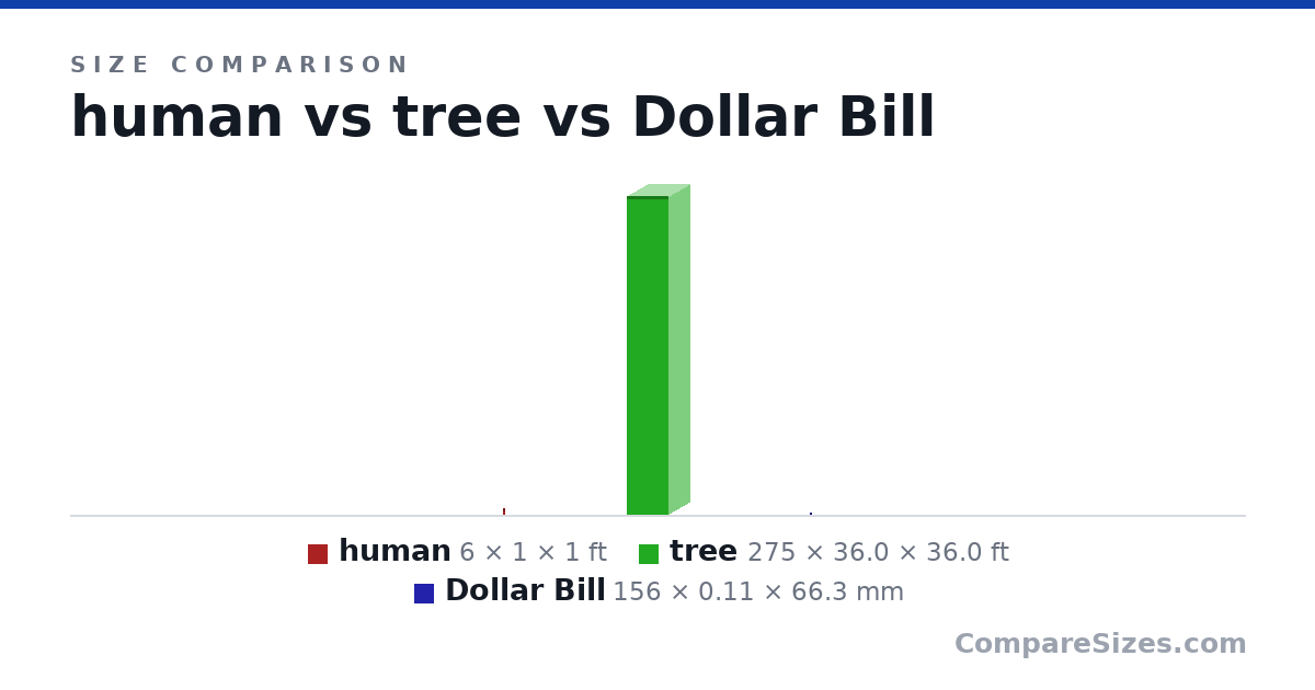 Size comparison of human (6 × 1 × 1 ft), tree (275 × 36.0 × 36.0 ft) and Dollar Bill (156 × 0.11 × 66.3 mm), drawn to scale
