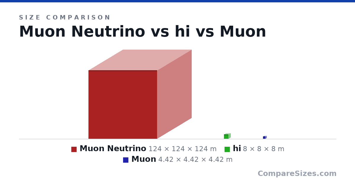 Size comparison of Muon Neutrino (124 × 124 × 124 m), hi (8 × 8 × 8 m) and Muon (4.42 × 4.42 × 4.42 m), drawn to scale
